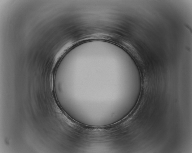 X0000103471180200809121113