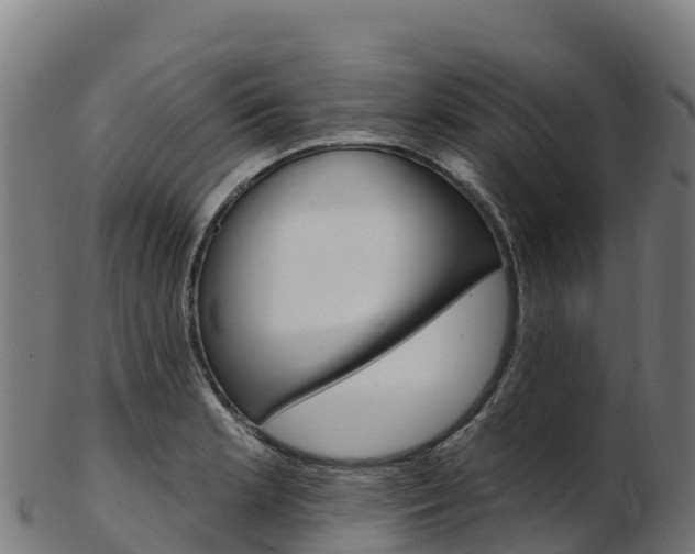 X0000103471181200809121113