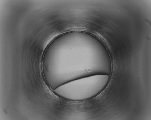 X0000103471182200809121113
