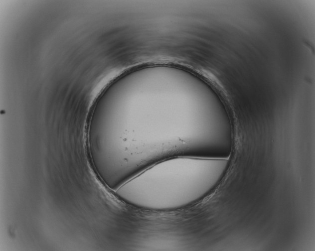 X0000103471183200809121113