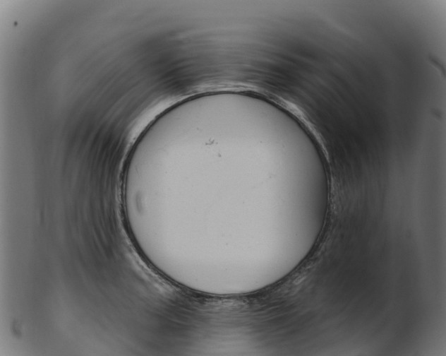 X0000103471187200809121113