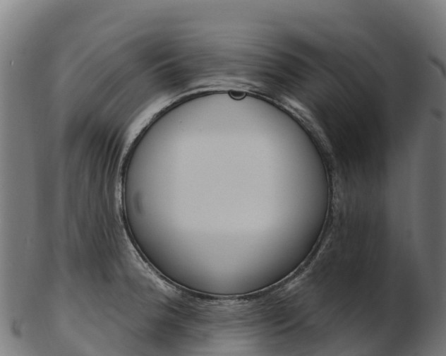 X0000103471188200809121113