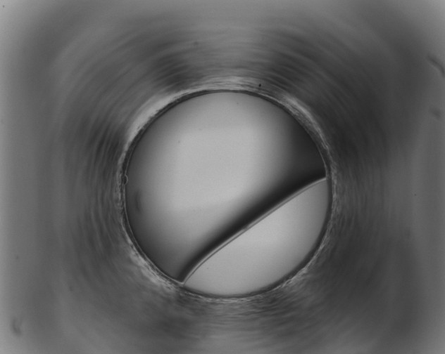 X0000103471192200809121113