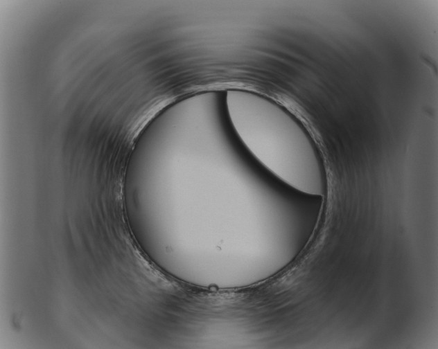 X0000103471193200809121113