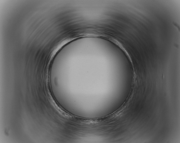 X0000103471195200809121113