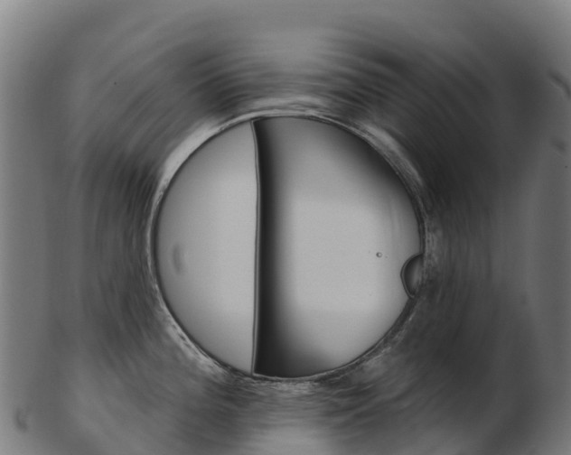 X0000103471196200809121113