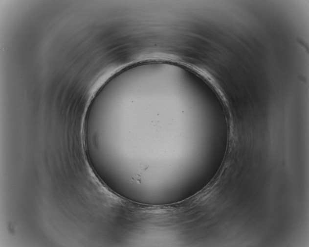 X0000103471199200809121113