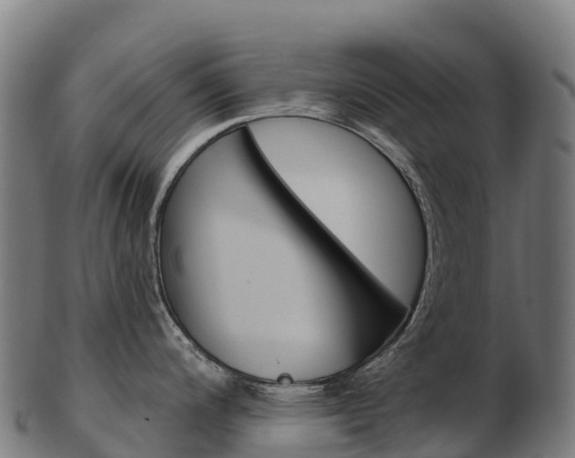 X0000103471200200809121113