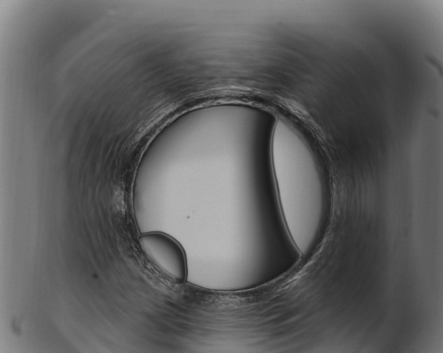 X0000103471209200809121112