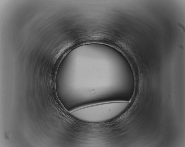 X0000103471210200809121112