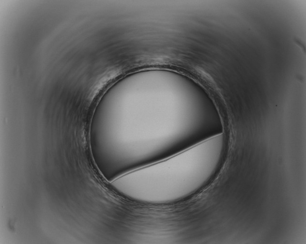 X0000103471218200809121112