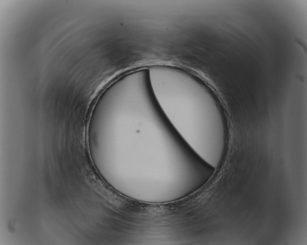 X0000103471220200809121112