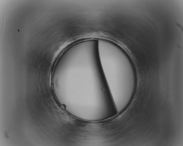 X0000103471224200809121112
