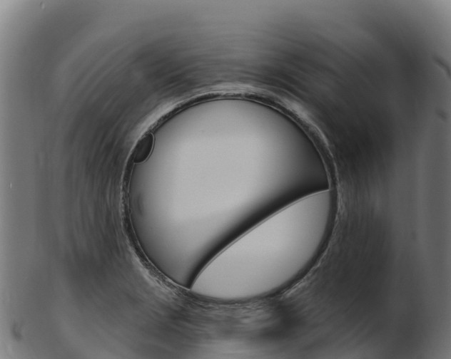X0000103471229200809121113
