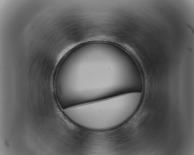X0000103471230200809121113