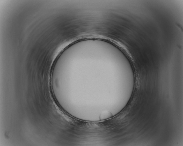 X0000103471231200809121113