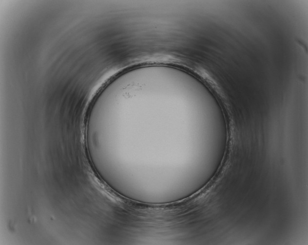 X0000103471232200809121113