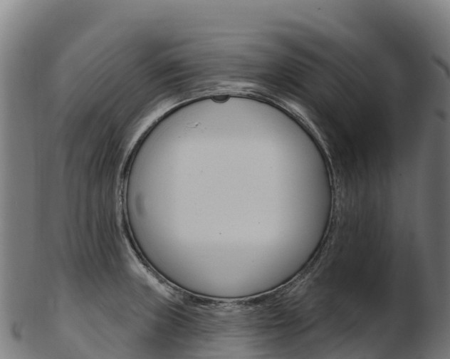 X0000103471235200809121113
