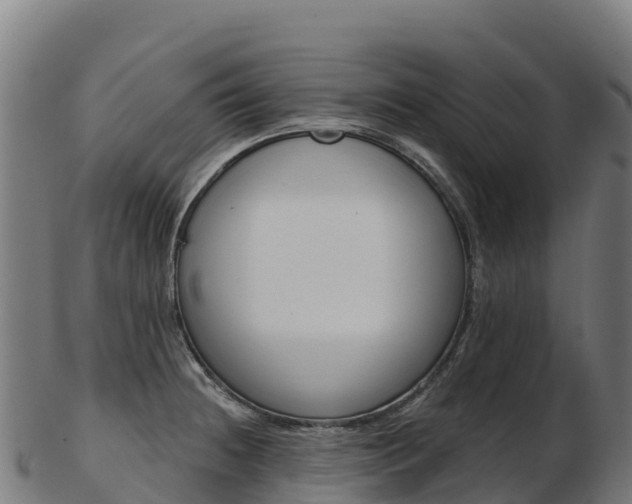X0000103471236200809121113