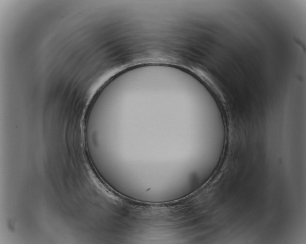 X0000103471238200809121113