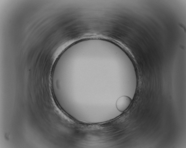 X0000103471239200809121113