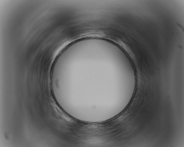 X0000103471240200809121113