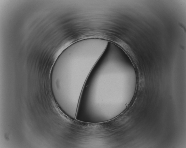 X0000103471242200809121113