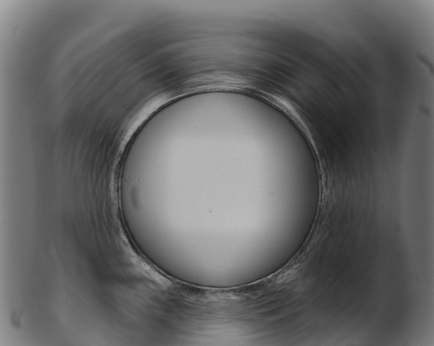 X0000103471243200809121113