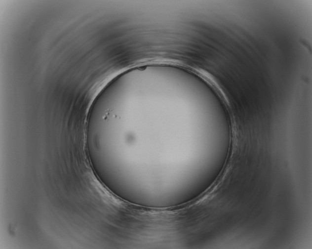 X0000103471244200809121113