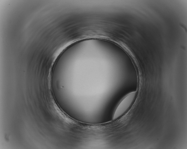 X0000103471246200809121113