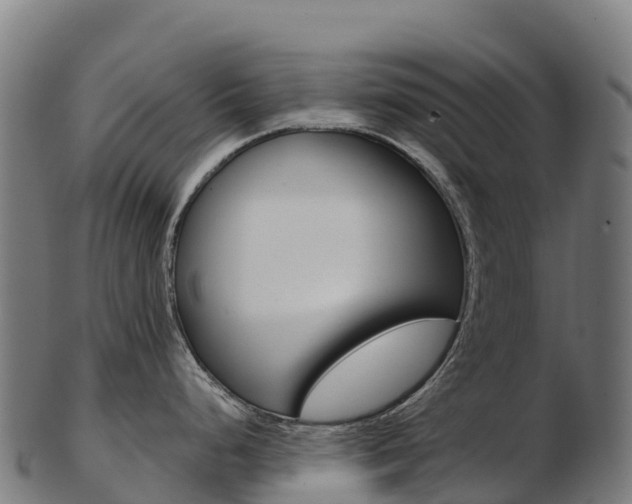 X0000103471248200809121113
