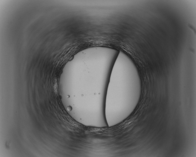 X0000103471251200809121112