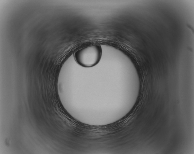 X0000103471252200809121112