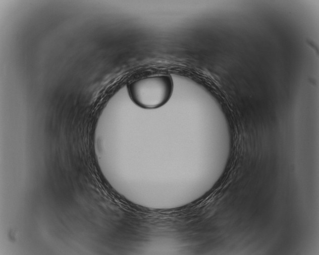 X0000103471253200809121112