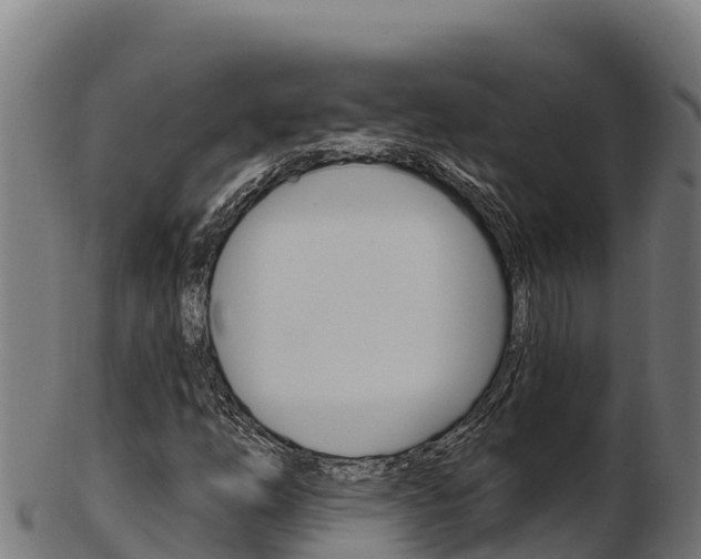 X0000103471254200809121112