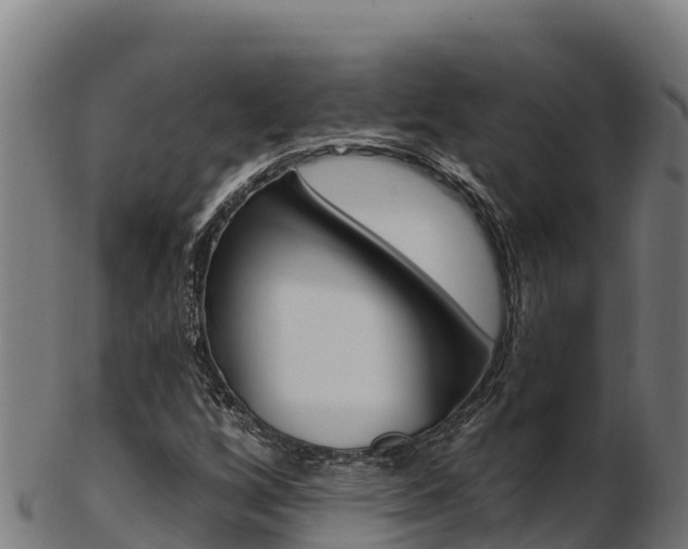 X0000103471256200809121112