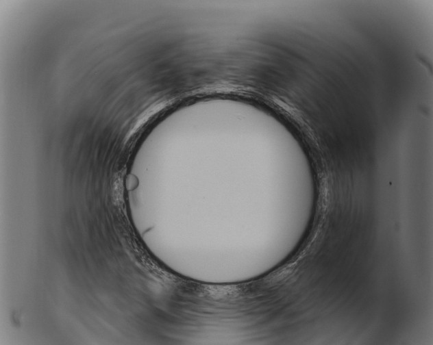 X0000103471258200809121112