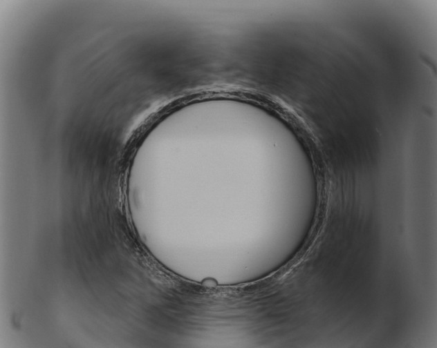 X0000103471262200809121112