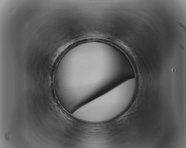 X0000103471264200809121112