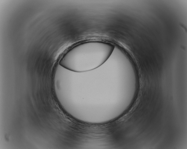 X0000103471267200809121112