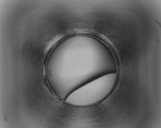 X0000103471269200809121112