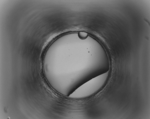 X0000103471270200809121112