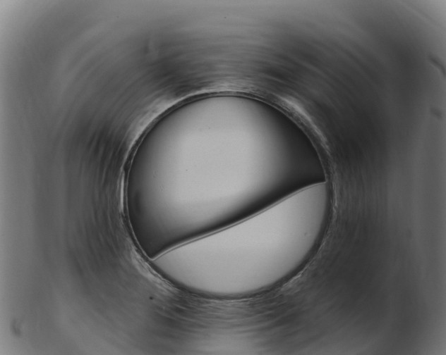 X0000103471276200809121112
