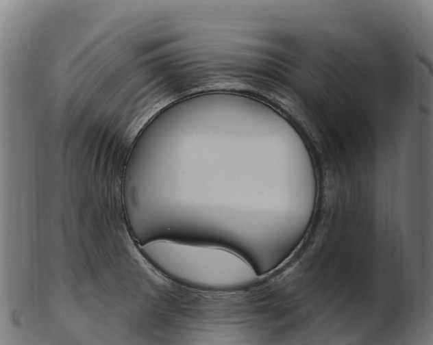 X0000103471281200809121112