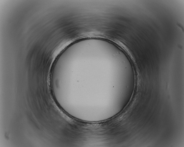 X0000103471285200809121112