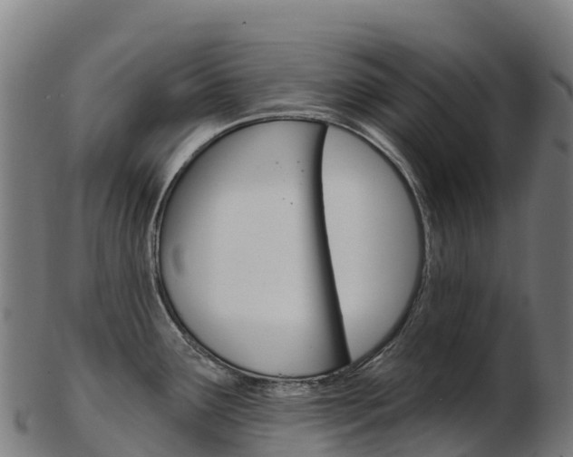 X0000103471291200809121112