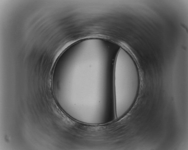 X0000103471292200809121112