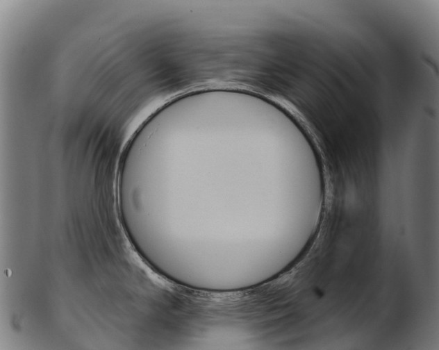 X0000103471294200809121112