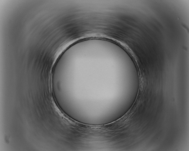 X0000103471295200809121112