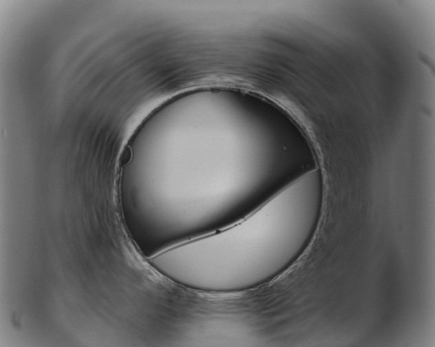 X0000103471296200809121111